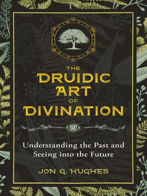 Title details for The Druidic Art of Divination by Jon G. Hughes - Available